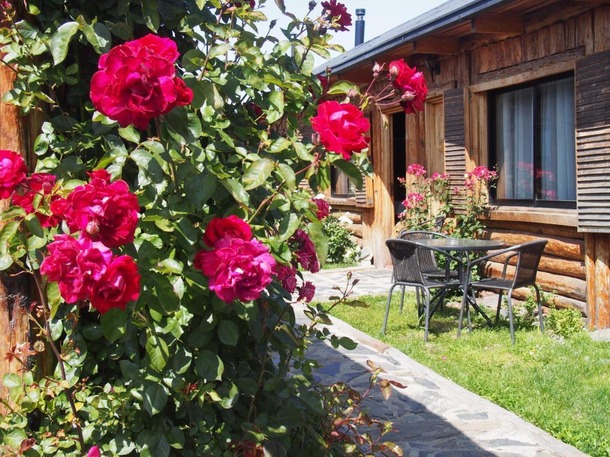 Hotel Ultimo Paraiso Cochrane Eksteriør billede
